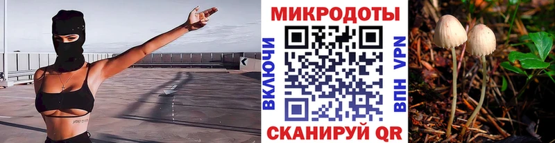 Купить  Высоцк  Галлюциногенные грибы ЛСД 