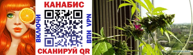 Купить где  Высоцк  Бошки марихуана OG Kush 